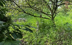 The Hobbit House And Secret Garden